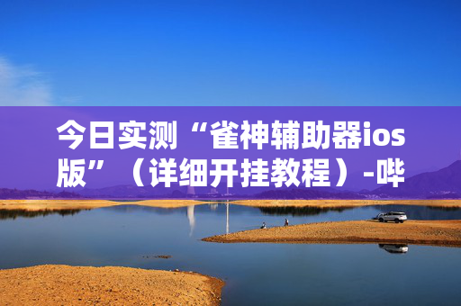 今日实测“雀神辅助器ios版”（详细开挂教程）-哔哩哔哩
