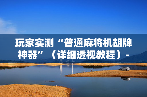玩家实测“普通麻将机胡牌神器”（详细透视教程）-哔哩哔哩