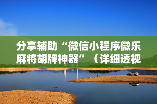分享辅助“微信小程序微乐麻将胡牌神器”（详细透视教程）-哔哩哔哩