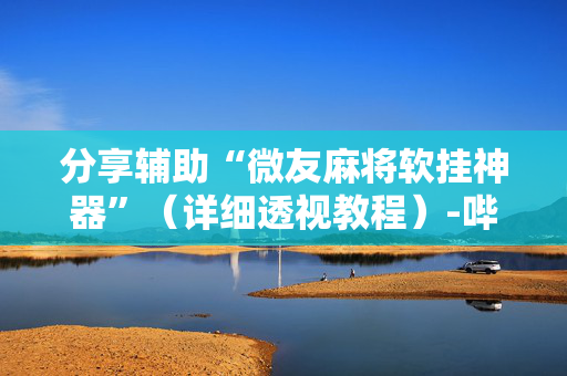 分享辅助“微友麻将软挂神器”（详细透视教程）-哔哩哔哩