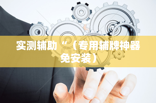 实测辅助“（专用辅牌神器免安装）