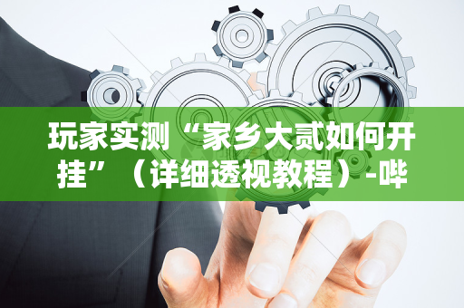 玩家实测“家乡大贰如何开挂”（详细透视教程）-哔哩哔哩
