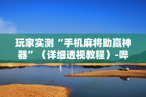 玩家实测“手机麻将助赢神器”（详细透视教程）-哔哩哔哩