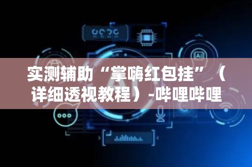 实测辅助“掌嗨红包挂”（详细透视教程）-哔哩哔哩