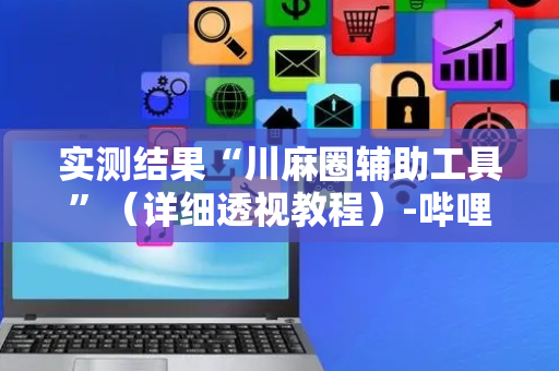 实测结果“川麻圈辅助工具”（详细透视教程）-哔哩哔哩