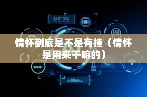情怀到底是不是有挂（情怀是用来干嘛的）