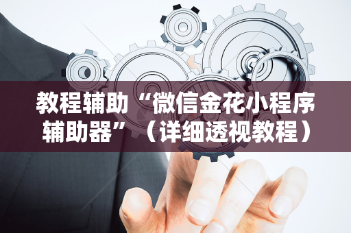 教程辅助“微信金花小程序辅助器”（详细透视教程）-哔哩哔哩