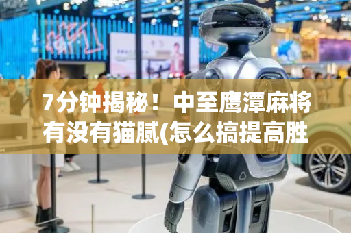 7分钟揭秘！中至鹰潭麻将有没有猫腻(怎么搞提高胜率)