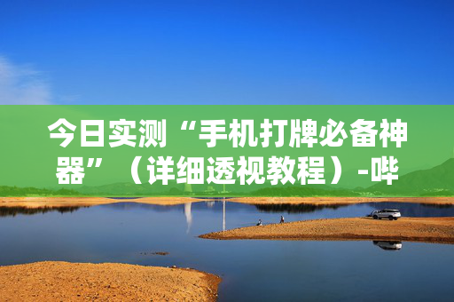 今日实测“手机打牌必备神器”（详细透视教程）-哔哩哔哩