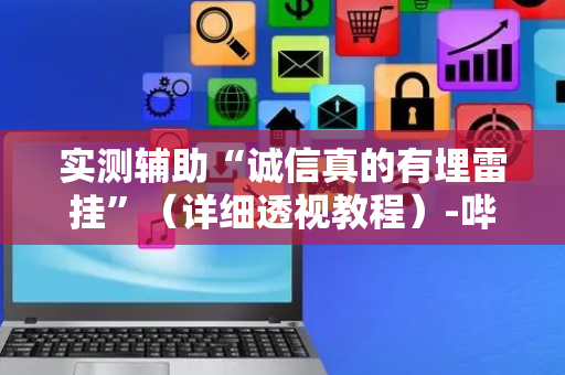 实测辅助“诚信真的有埋雷挂”（详细透视教程）-哔哩哔哩