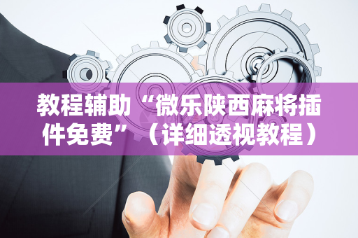 教程辅助“微乐陕西麻将插件免费”（详细透视教程）-哔哩哔哩