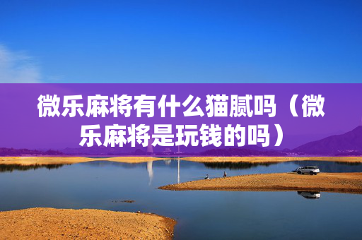 微乐麻将有什么猫腻吗（微乐麻将是玩钱的吗）