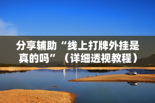 分享辅助“线上打牌外挂是真的吗”（详细透视教程）-哔哩哔哩
