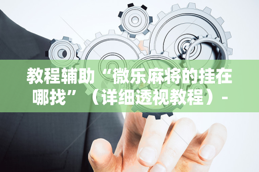 教程辅助“微乐麻将的挂在哪找”（详细透视教程）-哔哩哔哩