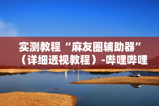 实测教程“麻友圈辅助器”（详细透视教程）-哔哩哔哩