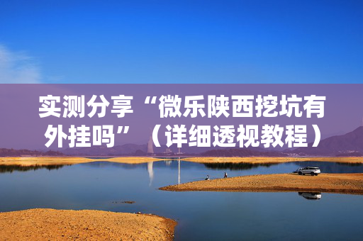实测分享“微乐陕西挖坑有外挂吗”（详细透视教程）-哔哩哔哩