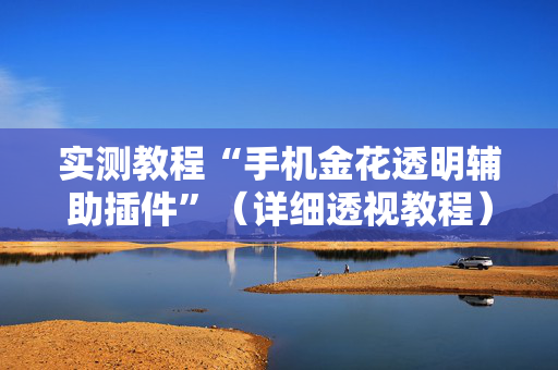 实测教程“手机金花透明辅助插件”（详细透视教程）-哔哩哔哩