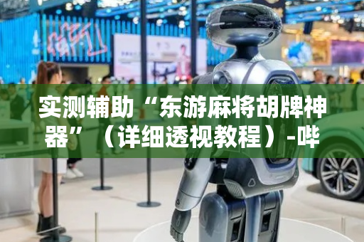 实测辅助“东游麻将胡牌神器”（详细透视教程）-哔哩哔哩