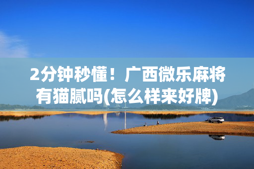 2分钟秒懂！广西微乐麻将有猫腻吗(怎么样来好牌)