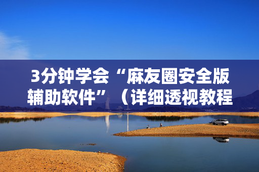 3分钟学会“麻友圈安全版辅助软件”（详细透视教程）-哔哩哔哩
