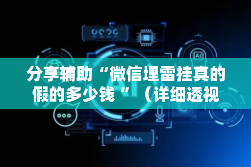 分享辅助“微信埋雷挂真的假的多少钱 ”（详细透视教程）-哔哩哔哩