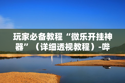 玩家必备教程“微乐开挂神器”（详细透视教程）-哔哩哔哩