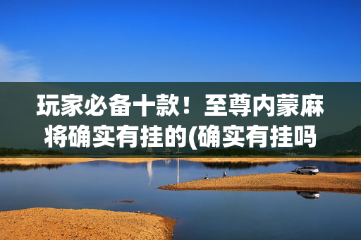 玩家必备十款！至尊内蒙麻将确实有挂的(确实有挂吗)