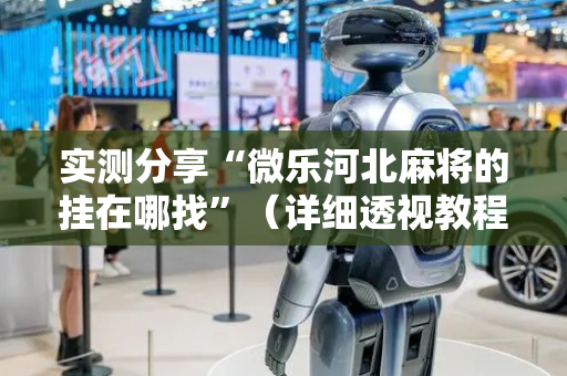 实测分享“微乐河北麻将的挂在哪找”（详细透视教程）-哔哩哔哩