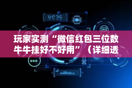 玩家实测“微信红包三位数牛牛挂好不好用”（详细透视教程）-哔哩哔哩
