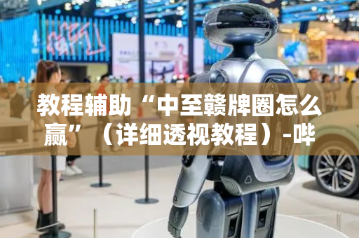 教程辅助“中至赣牌圈怎么赢”（详细透视教程）-哔哩哔哩