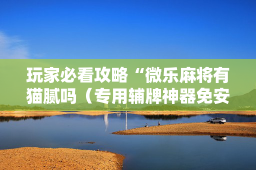 玩家必看攻略“微乐麻将有猫腻吗（专用辅牌神器免安装）
