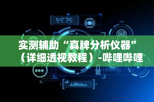 实测辅助“真牌分析仪器”（详细透视教程）-哔哩哔哩