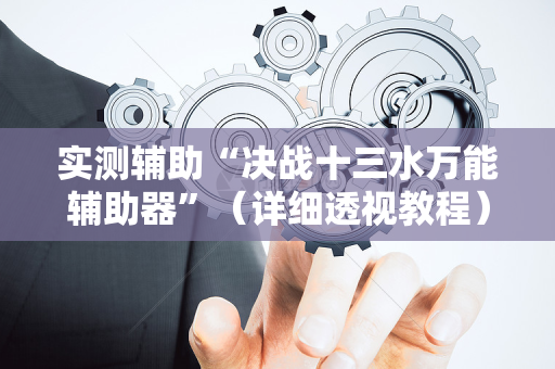 实测辅助“决战十三水万能辅助器”（详细透视教程）-哔哩哔哩