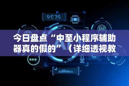 今日盘点“中至小程序辅助器真的假的”（详细透视教程）-哔哩哔哩
