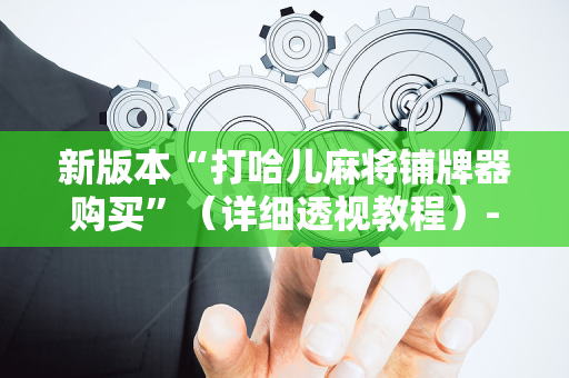 新版本“打哈儿麻将铺牌器购买”（详细透视教程）-哔哩哔哩