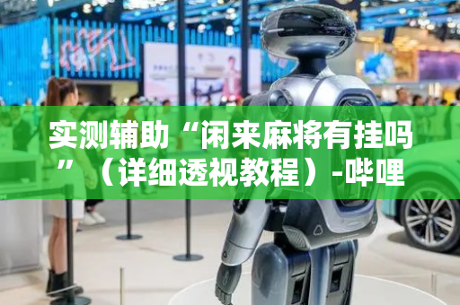 实测辅助“闲来麻将有挂吗”（详细透视教程）-哔哩哔哩