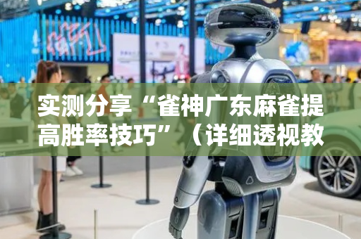 实测分享“雀神广东麻雀提高胜率技巧”（详细透视教程）-哔哩哔哩