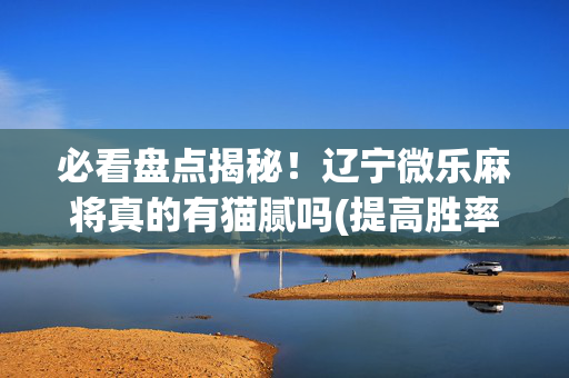 必看盘点揭秘！辽宁微乐麻将真的有猫腻吗(提高胜率技巧)