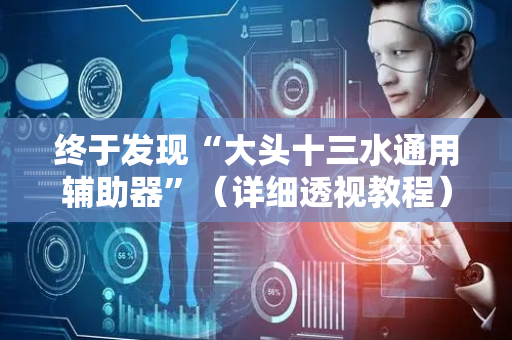 终于发现“大头十三水通用辅助器”（详细透视教程）-哔哩哔哩