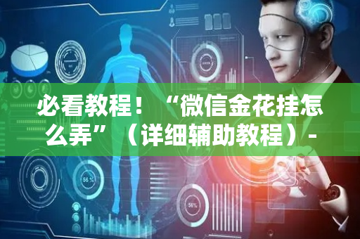 必看教程！“微信金花挂怎么弄”（详细辅助教程）-哔哩哔哩