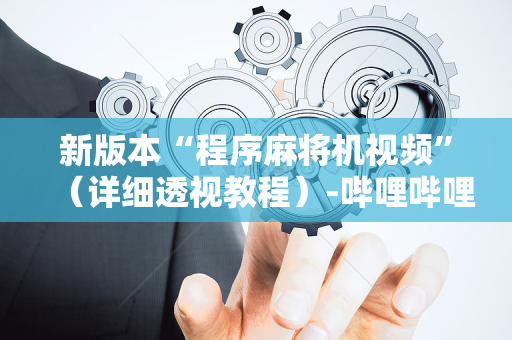 新版本“程序麻将机视频”（详细透视教程）-哔哩哔哩