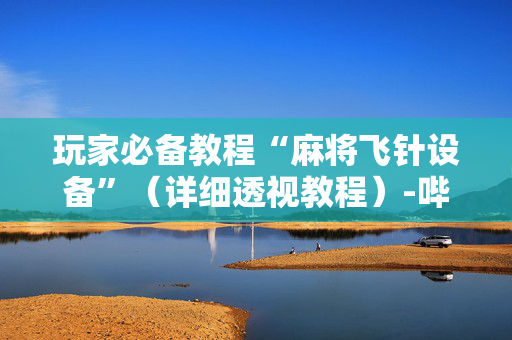 玩家必备教程“麻将飞针设备”（详细透视教程）-哔哩哔哩