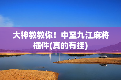 大神教教你！中至九江麻将插件(真的有挂)