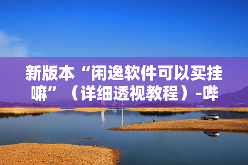 新版本“闲逸软件可以买挂嘛”（详细透视教程）-哔哩哔哩