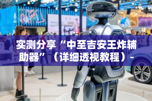 实测分享“中至吉安王炸辅助器”（详细透视教程）-哔哩哔哩