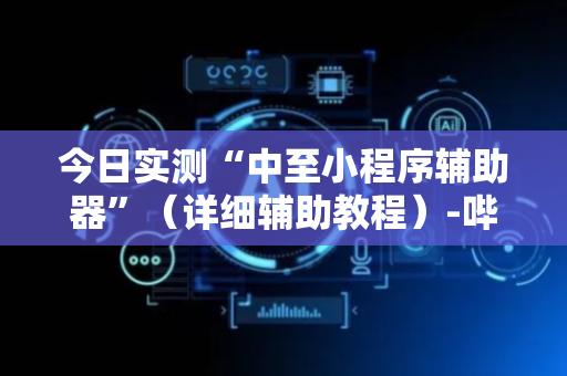今日实测“中至小程序辅助器”（详细辅助教程）-哔哩哔哩