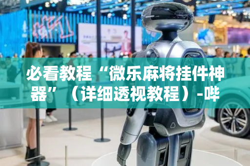 必看教程“微乐麻将挂件神器”（详细透视教程）-哔哩哔哩