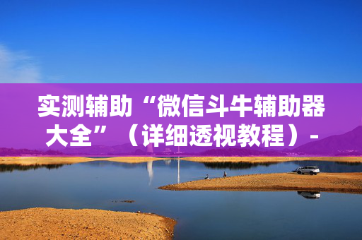 实测辅助“微信斗牛辅助器大全”（详细透视教程）-哔哩哔哩