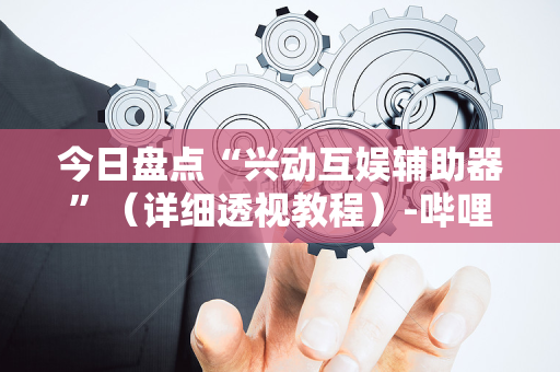 今日盘点“兴动互娱辅助器”（详细透视教程）-哔哩哔哩