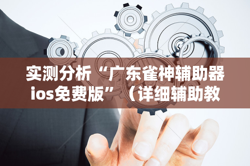 实测分析“广东雀神辅助器ios免费版”（详细辅助教程）-哔哩哔哩